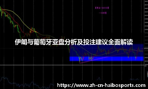 伊朗与葡萄牙亚盘分析及投注建议全面解读